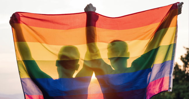 How Can We Increase the Visibility of LGBTQIA+ Researchers in STEM?