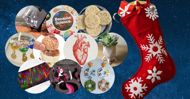 10 Stocking Stuffers for Scientists