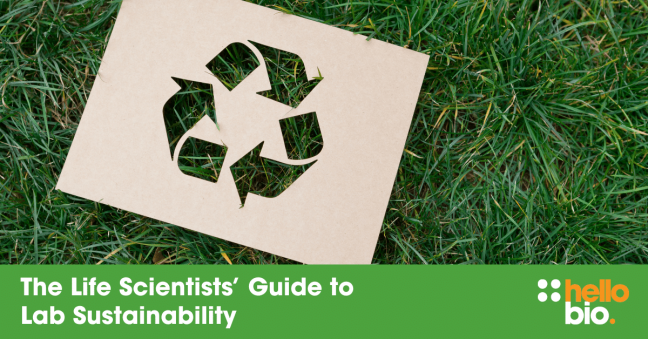 The Life Scientists’ Guide to Lab Sustainability