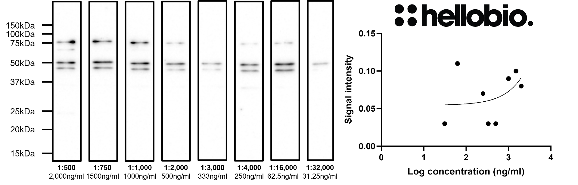 Figure 8. Concentration response of HB6429 staining in rat brain cytosol preparation. Figure 8. Concentration response of HB6429 staining in rat brain cytosol preparation.