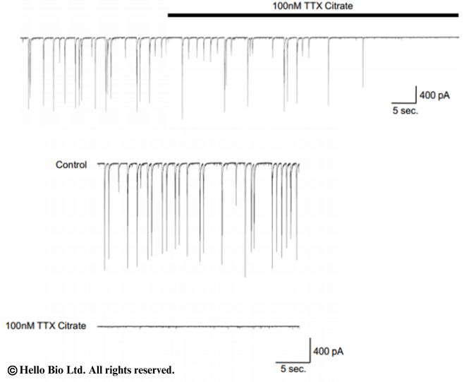 Figure 5. Whole-cell voltage clamp recordings made from primary cultured rat cortical neurons.