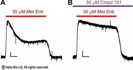 Inhibition of MOPr desensitization by Cmpd101 Inhibition of MOPr desensitization by Cmpd101