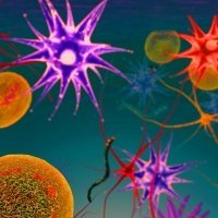 Hello Bio first to launch water-soluble Clozapine – an antipsychotic & DREADD ligand