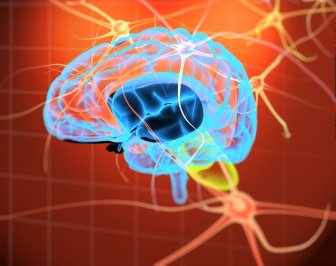 Professor Graham Collingridge awarded The Brain Prize 2016