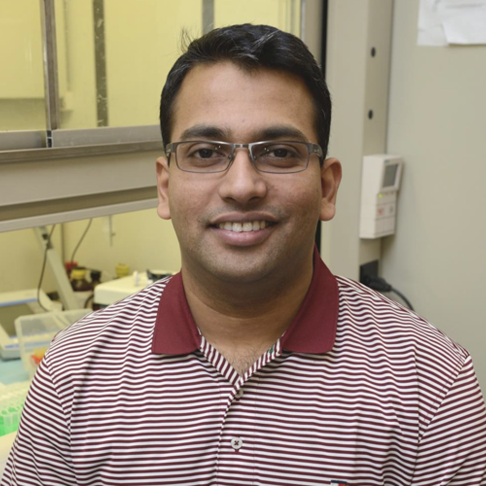 Surjyadipta Bhattacharjee, Neuroscience Center of Excellence, LSUHSC, New Orleans, United States