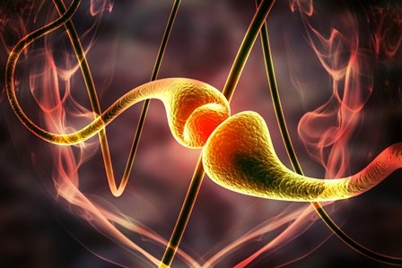 Hello Bio launches first photoactive mGlu5 NAM analgesic