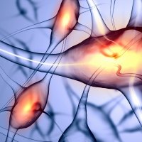 DREADD research tools DREADD research tools