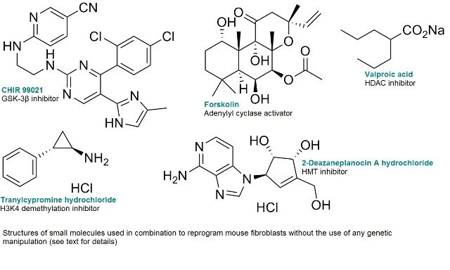 small molecules used to reprogram mouse fibroblasts without genetic manipulation small molecules used to reprogram mouse fibroblasts without genetic manipulation