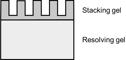 Stacking and resolving gels