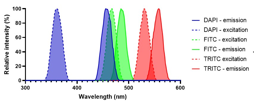 Example of a suitable fluorophore combination for a multiplexed experiment