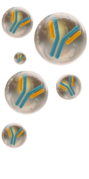 early career scientists ValidAbs