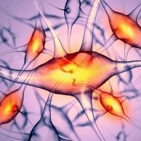 Novel water soluble DREADD ligands from Hello Bio Novel water soluble DREADD ligands from Hello Bio