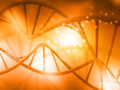 Genome editing small molecules | Hello Bio Genome editing small molecules