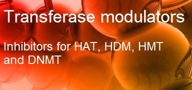 Transferase inhibitors Transferase inhibitors