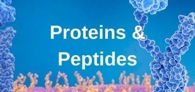 Proteins & Peptides Proteins & Peptides
