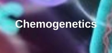 Chemogenetics Chemogenetics