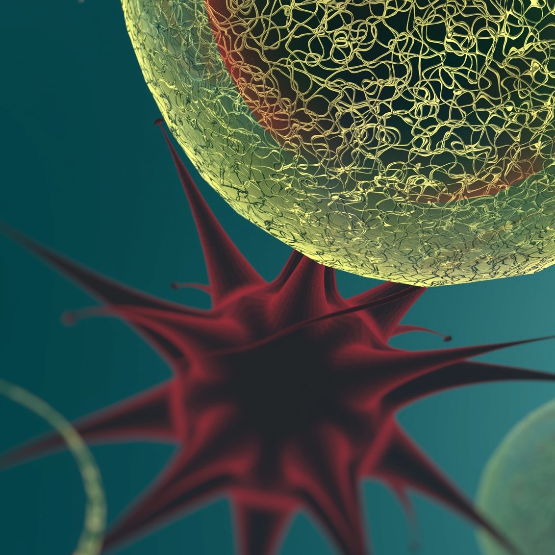 5-HT receptor research tools 5-HT research tools